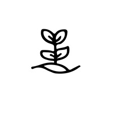 A simple line drawing of a small plant with three leaves