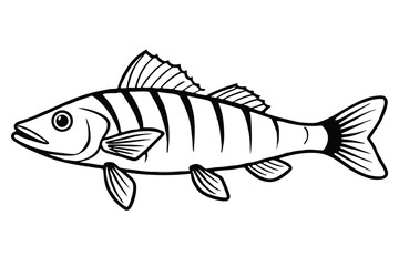 Line Art Illustration Depicting a PerchLike Fish with Distinctive Stripes and Fins Detail