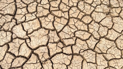 Cracked earth resembling a vast jigsaw puzzle, embodying Earth Day's urgency and the eerie calm of...