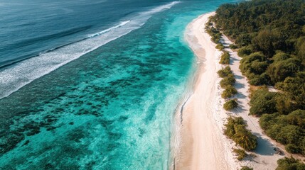 Obraz premium Serene tropical beach with turquoise waters and coral reefs