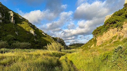 Sunlit emerald valley whispers secrets of ancient earth, invoking Earth Day tranquility and Celtic...