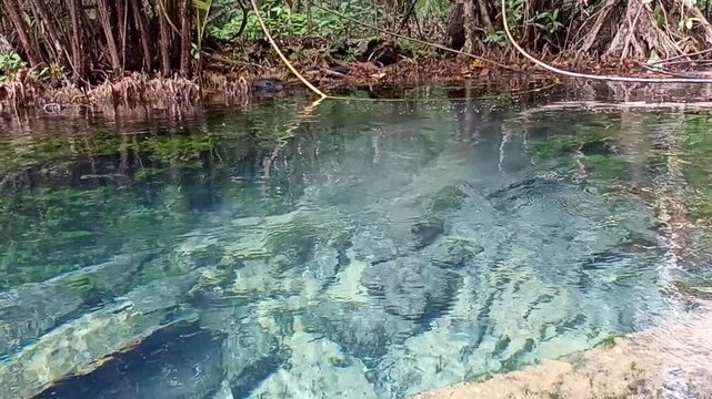 traveling sailing boat on river lake in tropical forest jungle