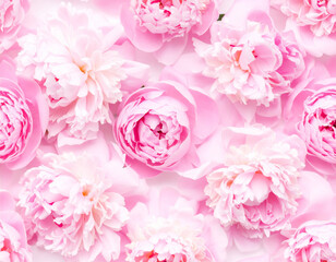 Seamless Pattern of Fully Bloomed Pink Peonies on a Soft Background