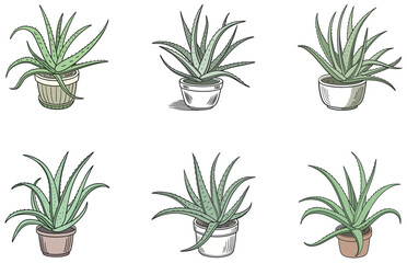 Aloe Vera in Pot Vector Designs Set Flat Minimal Succulent Illustrations for Print and Digital