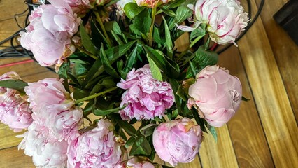 Pink peonies in full bloom, evoking dreamy romance and cloistered curiosityperfect for Peony...