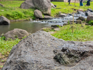 Stream rocks green grass outdoor scene