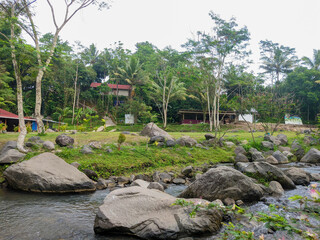 Tropical river landscape with lush greenery