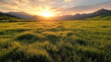 Fototapeta premium A breathtaking sunset illuminating a green grassy landscape with rolling hills under a colorful sky, evoking a sense of peace and connection to nature's beauty.