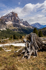 spring mountain landscape in the Italian Dolomites - Passo Falzarego