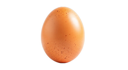 Brown Chicken Egg Isolated On Black