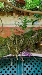 Whimsical entanglement of mossy branches over ornate lattice underbelly, evoking Samhain's mystery...
