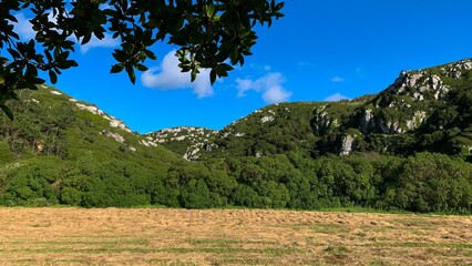 Sunlit meadow whispers beneath jagged hills, embodying a Celtic harvests mystery and folklore, akin...