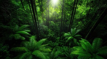 Obraz premium A breathtaking view of a lush green jungle filled with rich foliage and vibrant plants, illuminated by soft sunlight rays, representing the beauty of untouched nature.