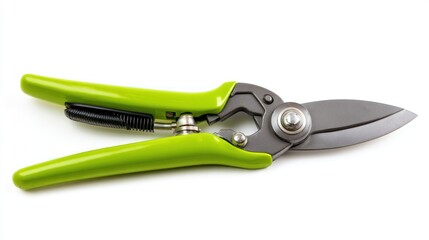 Obraz premium Green pruning shears, ideal for gardening