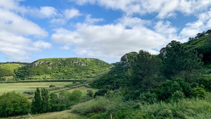 Expansive verdant hills whisper tales of ancient solstice festivals and hidden goblin markets under...