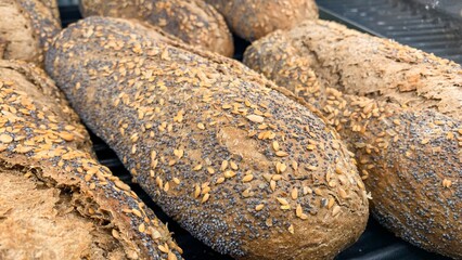 Crusty artisanal rye loaves, poppy seed-studded, evoke rustic autumn Equinox baking rituals and...