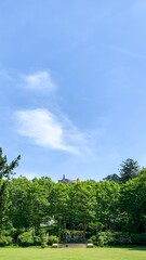 Verdant treetops whisper under cerulean skies, evoking Earth Day's tranquility and Arbor Day's...