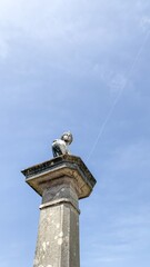 Stoic stone gargoyle perched high against azure expanse, resonating with Gothic intrigue and All...