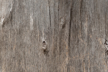 natural wooden planks background close up
