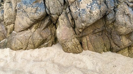 Ancient rocky embrace whispers tales of oceans past, ideal for National Fossil Day or Geologists'...