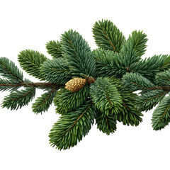 Pine branch sprig isolated on transparent background