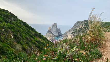 Majestic cliffs cradle the enigmatic sea, whispering tales of Beltane bonfires and mystical coastal pilgrimages through verdant blooms