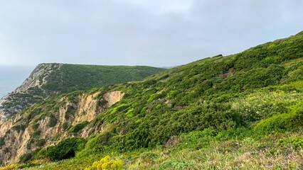 A verdant coastal hillscape whispers tales of ancient solstices, druidic gatherings, and the mystery of lush, untamed tranquility