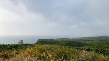 Expansive coastal vista under brooding skies invites contemplation and solitude, ideal for Earth...
