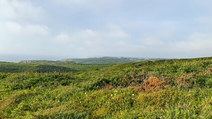Enveloping coastal heathland whispers tales of midsummer solstice adventures, verdant tranquility, and hidden Celtic folklore enchantments