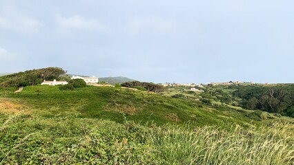 Verdant hills embrace sunlit cottages, whispering tales of midsummer revelries and ancient Celtic solstice magic, serene pastoral retreat