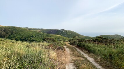 Rugged path through whispering grasslands, evokes Beltane wanderlust and solstice dreamings, where sky meets Celtic earth's embrace