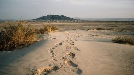 Footprints leading across sandy desert terrain toward distant hill under cloudy sky with sparse vegetation