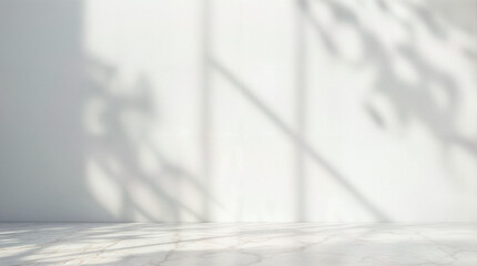 Minimal abstract light gray background for product presentation. Soft shadow and light from windows on white wall.