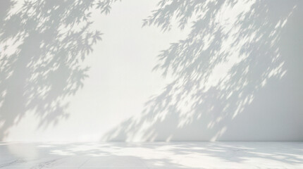 Minimal abstract light gray background for product presentation. Soft shadow and light from windows on white wall.
