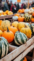Autumn Harvest Colorful Pumpkins in Wooden Crate at Farmers Market