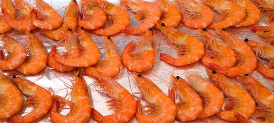 Orange boiled shrimp on a silver tray in a restaurant