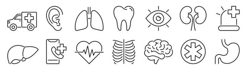 Human organs vector line icon. Medicine and health care icon.