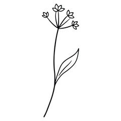 black and white flower