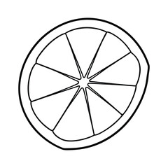 lemon slice vector