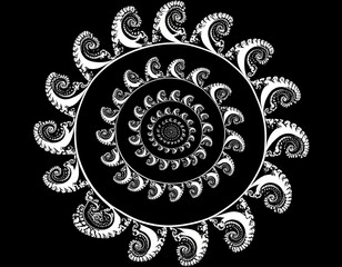 Abstract Black And White Spiral Design