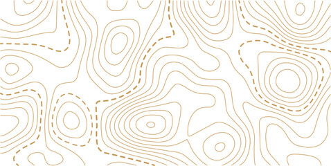 Abstract topo contour map on white background, Topographic map Topographic contour lines map seamless pattern. Geographic mountain relief diagram line wave carve pattern