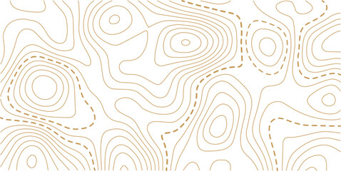 Abstract topo contour map on white background, Topographic map Topographic contour lines map seamless pattern. Geographic mountain relief diagram line wave carve pattern