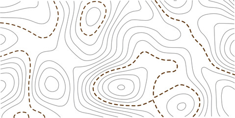 Topographic map background geographic line map. luxury abstract blue line art design geography concept vector illustration topo contour grid abstract backdrop background