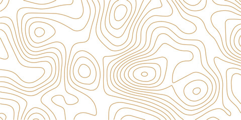 Abstract topo contour map on white background, Topographic map Topographic contour lines map seamless pattern. Geographic mountain relief diagram line wave carve pattern