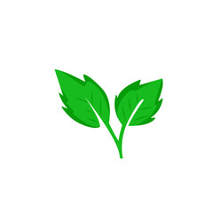 green leaf vector design