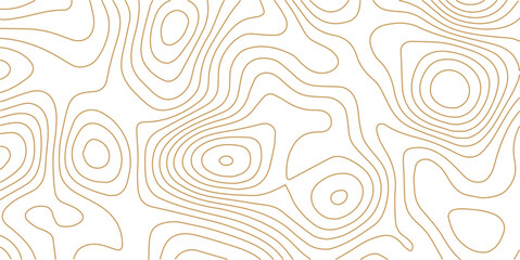 Fototapeta premium Abstract topo contour map on white background, Topographic map Topographic contour lines map seamless pattern. Geographic mountain relief diagram line wave carve pattern