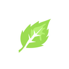 green leaf vector design