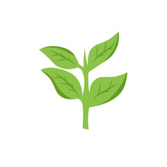 green leaf vector design