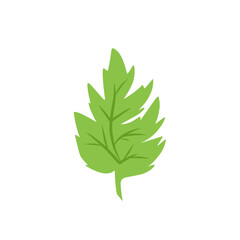 green leaf vector design