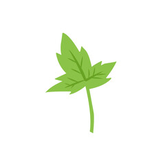 green leaf vector design